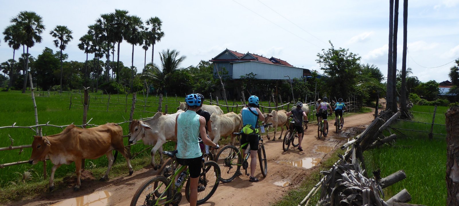 Cambodia Gravel Cycling Holiday